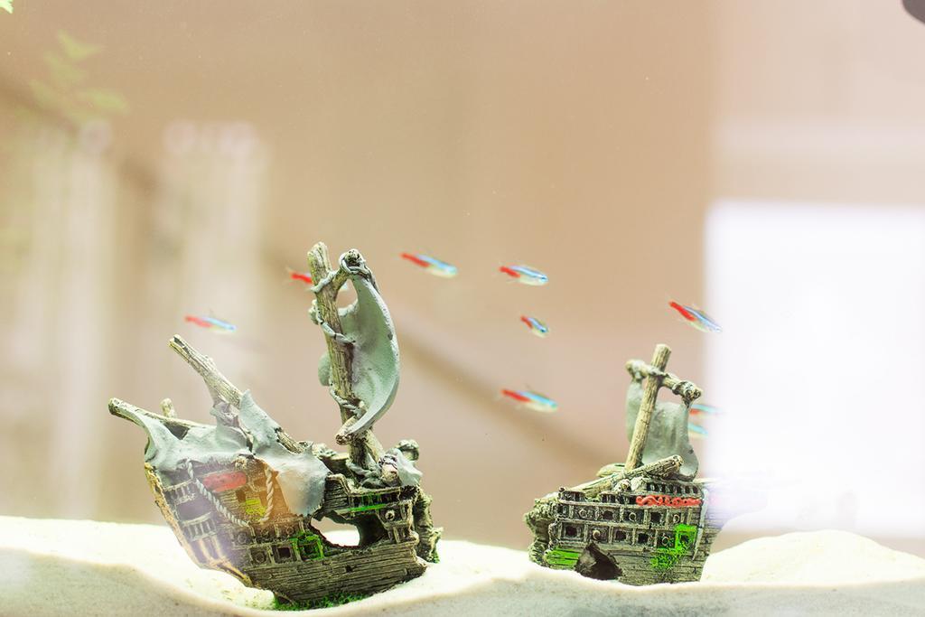 Il Giglio Verde Porto SantʼElpidio Dış mekan fotoğraf